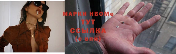 ECSTASY Белокуриха
