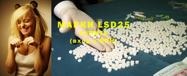 ECSTASY Белокуриха