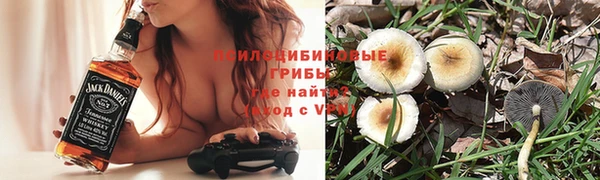 ECSTASY Белокуриха